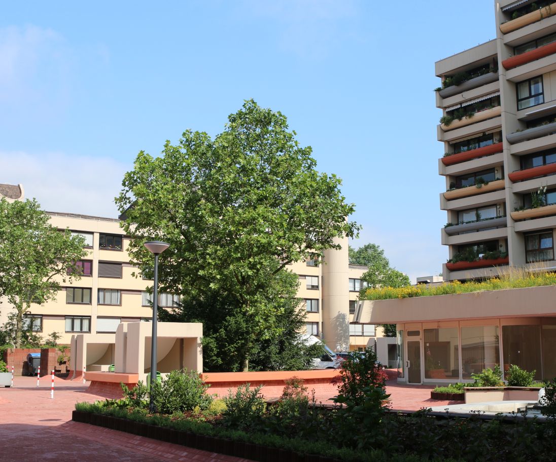 Wohnpark Broicherdorf- Aktuell